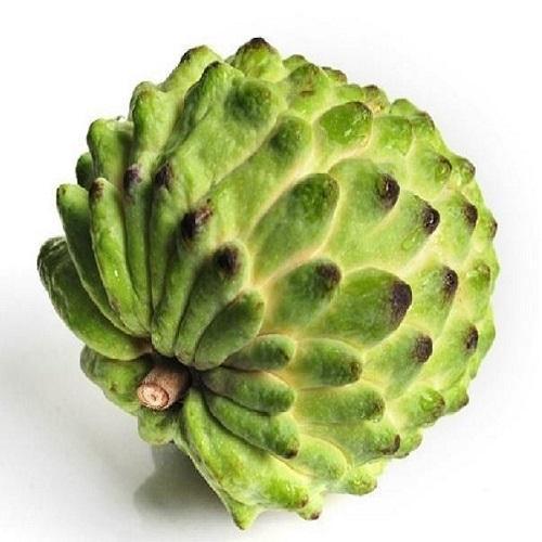 台湾释迦果（一粒300g左右）