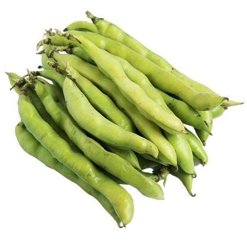 新鲜带壳蚕豆 500g