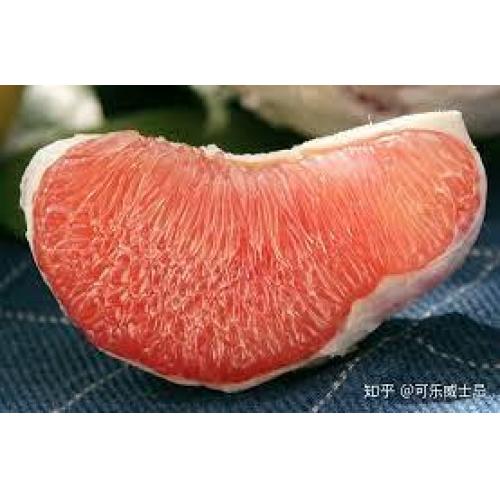 柚想你（紅心柚子）個